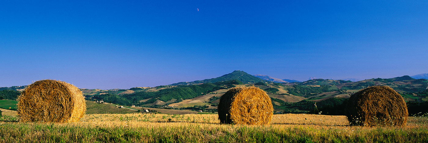 Monti Sibillini