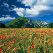 La montagna in un CLICK - al2