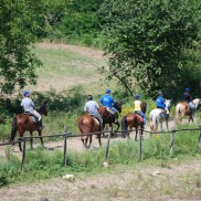 Cavalli Agriturismo Dimensione Natura