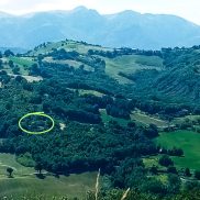 La Mela Rose Aerial