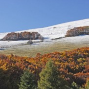 I colori dell’autunno - autunno01