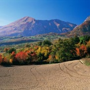 I colori dell’autunno - p8_web